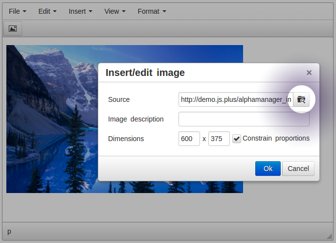 Insert image dilog TinyMCE