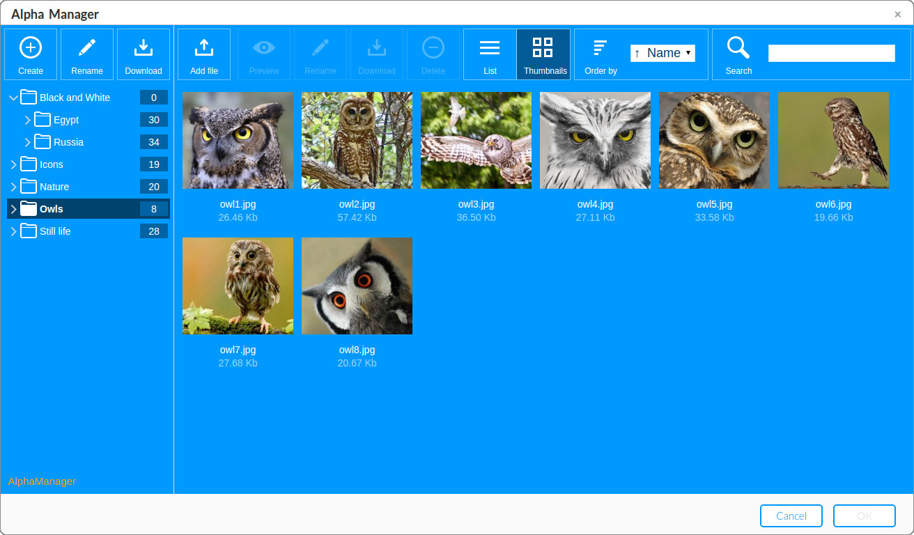 Mono blue skin screenshot of File Manager