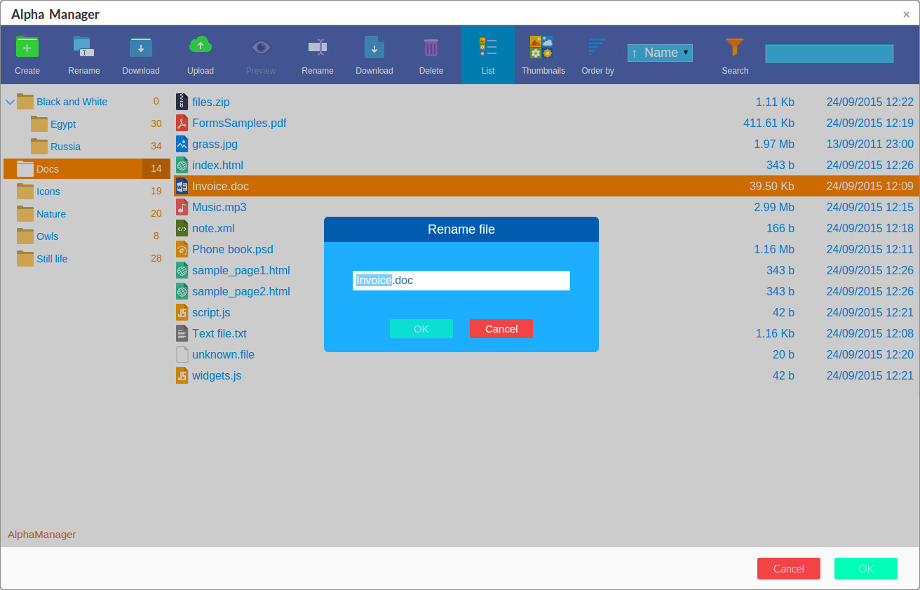 Renaming files in File Manager screenshot