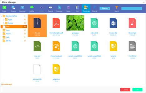 File types in File Manager screenshot