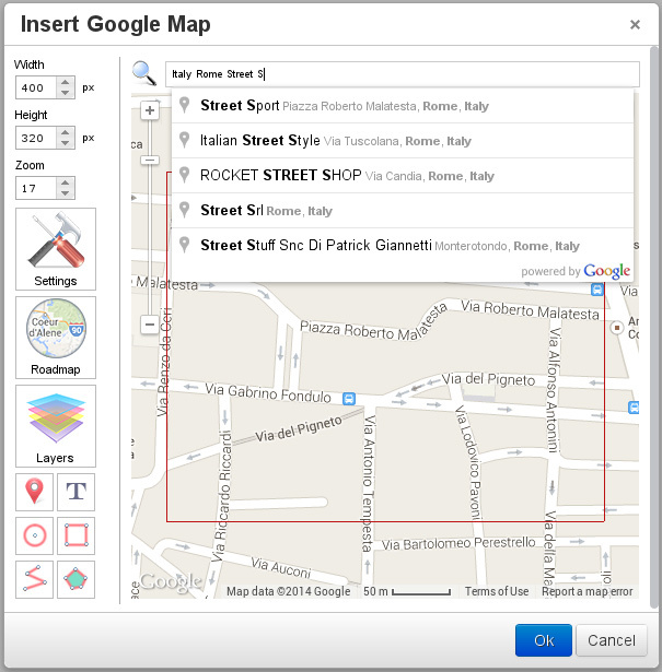 TinyMCE Google Maps search screenshot