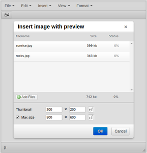 TinyMCE Quick Image Preview dialog screenshot