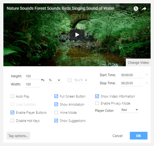 Youtube overview screenshot